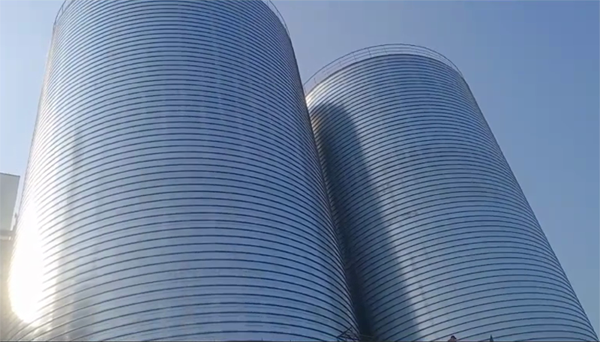 临淄2座混凝土高架卷板仓